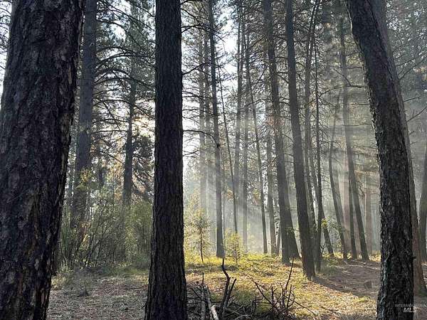2.85 Acres of Residential Land for Sale in Idaho City, Idaho