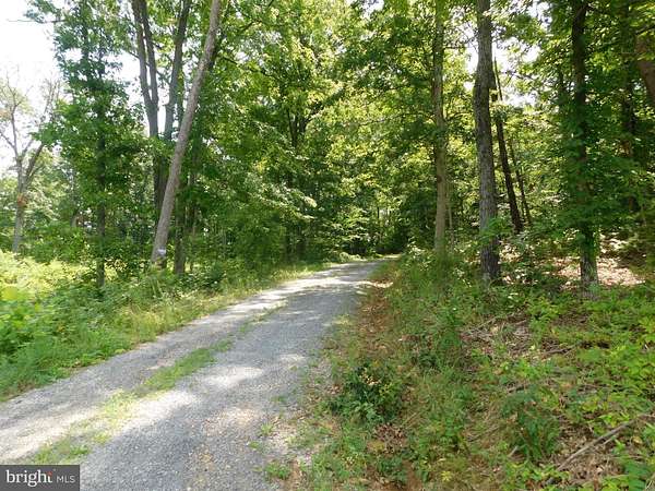 17 Acres of Land for Sale in Front Royal, Virginia