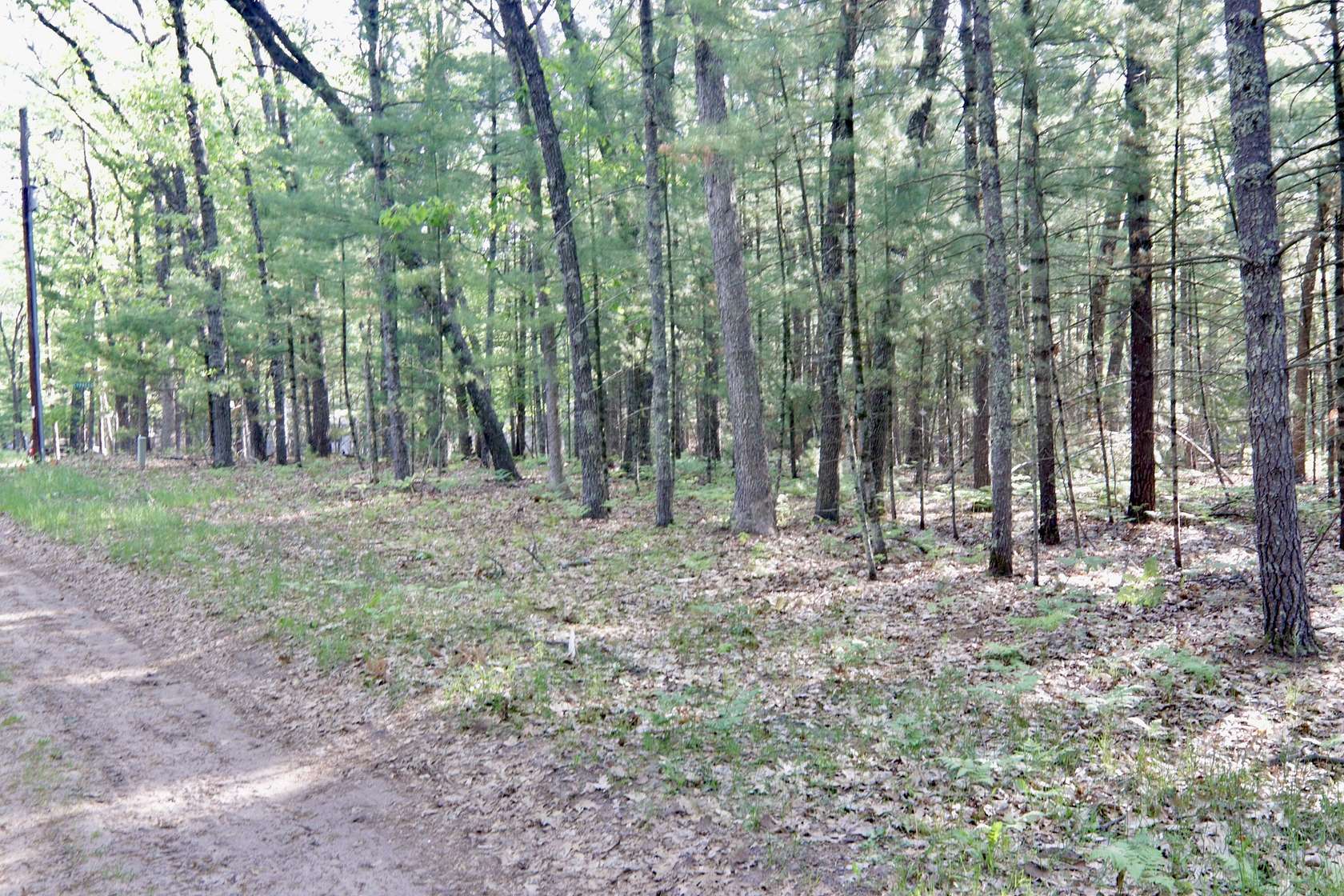 0.36 Acres of Residential Land for Sale in Baldwin, Michigan