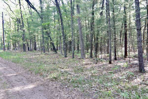0.36 Acres of Residential Land for Sale in Baldwin, Michigan