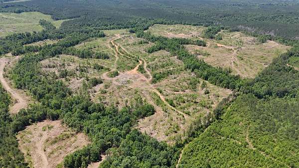 272 Acres of Recreational Land for Sale in Steeles Township, North Carolina