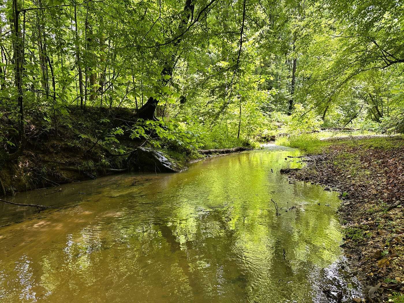 332 Acres of Recreational Land for Sale in Jonesville, South Carolina
