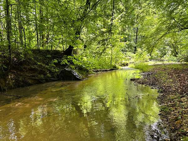 332 Acres of Recreational Land for Sale in Jonesville, South Carolina
