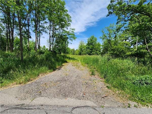 4.27 Acres of Residential Land for Sale in Painesville, Ohio