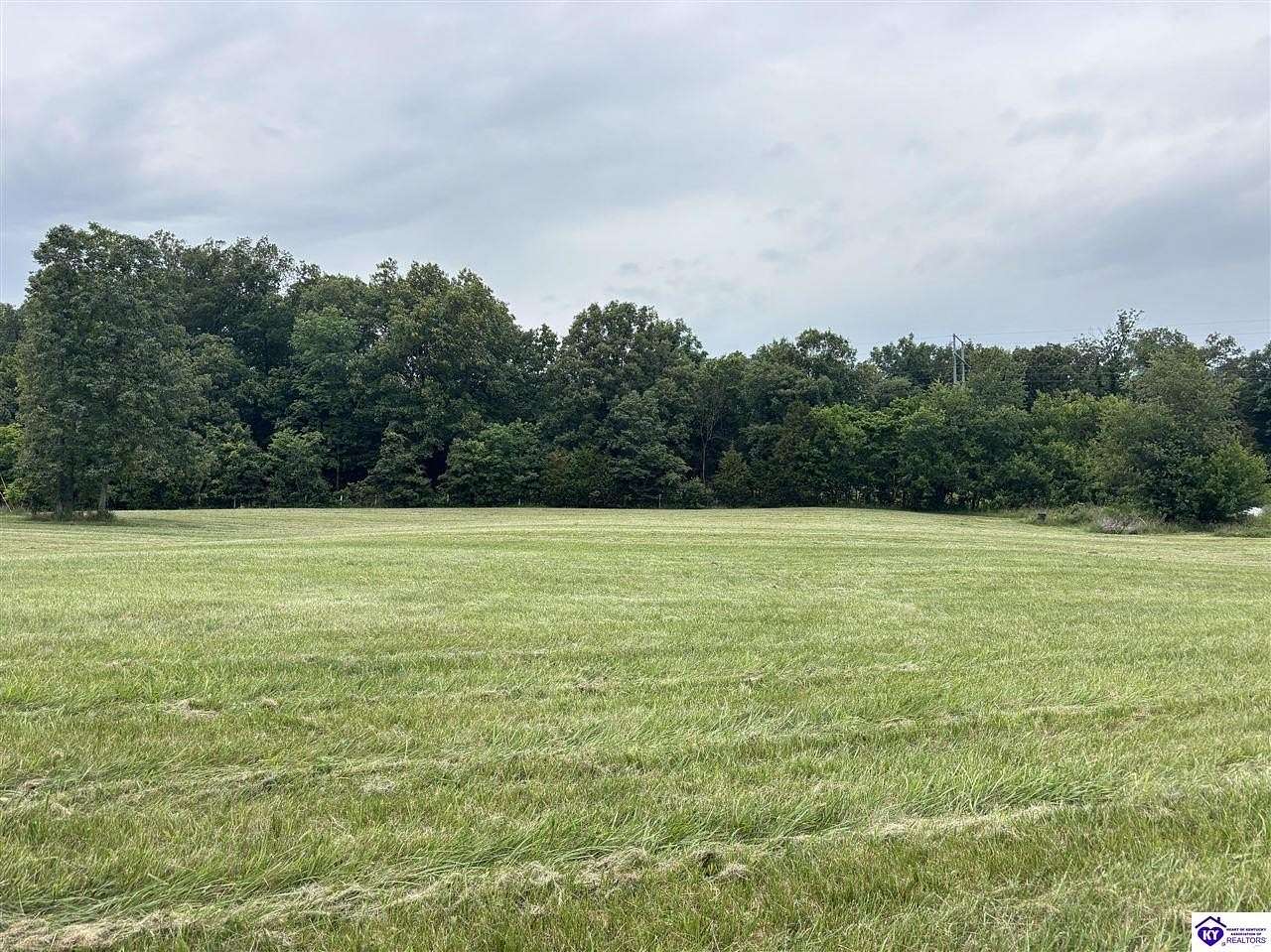1.54 Acres of Land for Auction in Irvington, Kentucky