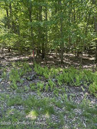 0.42 Acres of Residential Land for Sale in Tafton, Pennsylvania