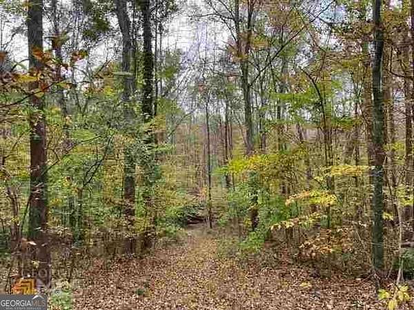 15.5 Acres of Land for Sale in Stonecrest, Georgia