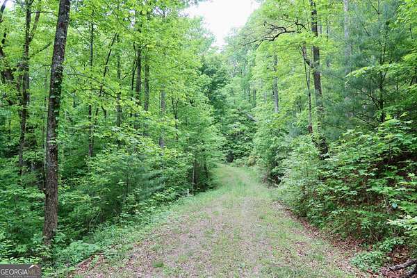 3.76 Acres of Residential Land for Sale in Dillard, Georgia