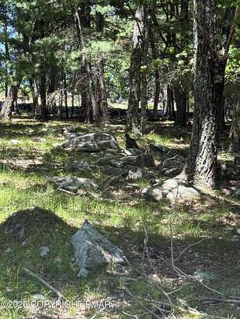 0.47 Acres of Residential Land for Sale in Tafton, Pennsylvania