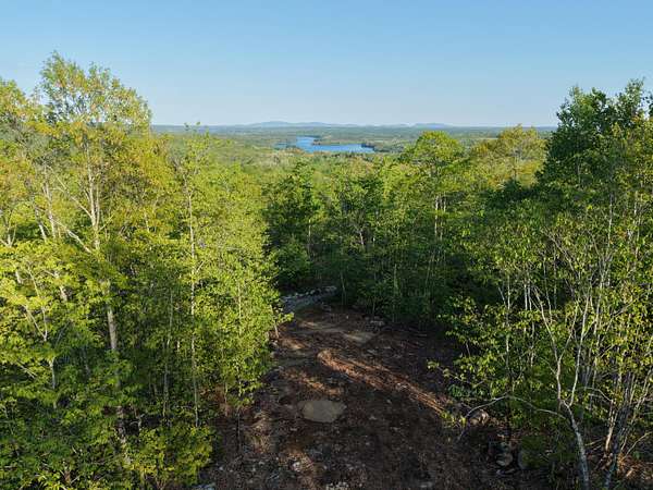 21.4 Acres of Recreational & Residential Land for Sale in Orland, Maine