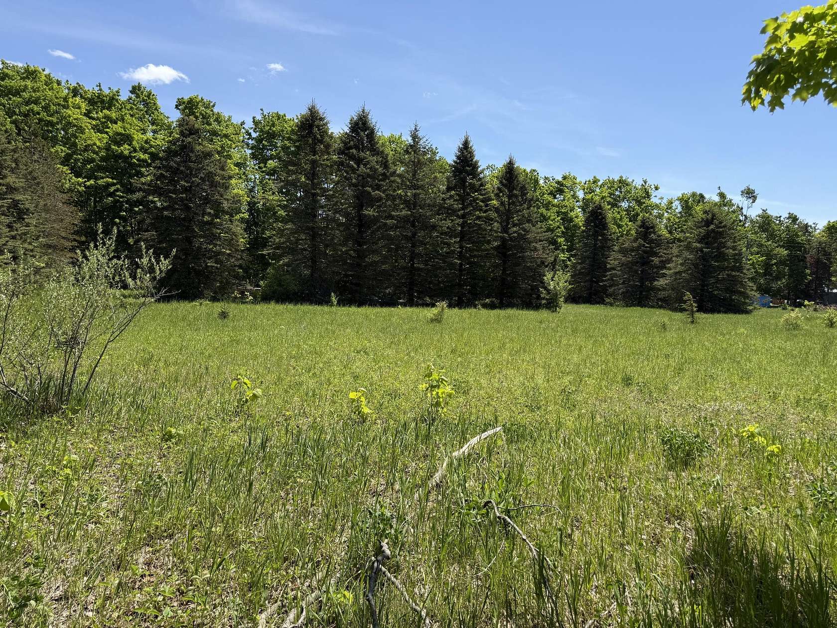 10.3 Acres of Land for Sale in Elmira, Michigan