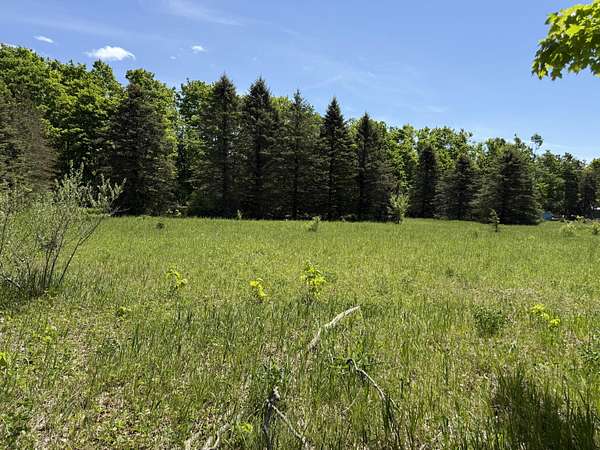 10.3 Acres of Land for Sale in Elmira, Michigan