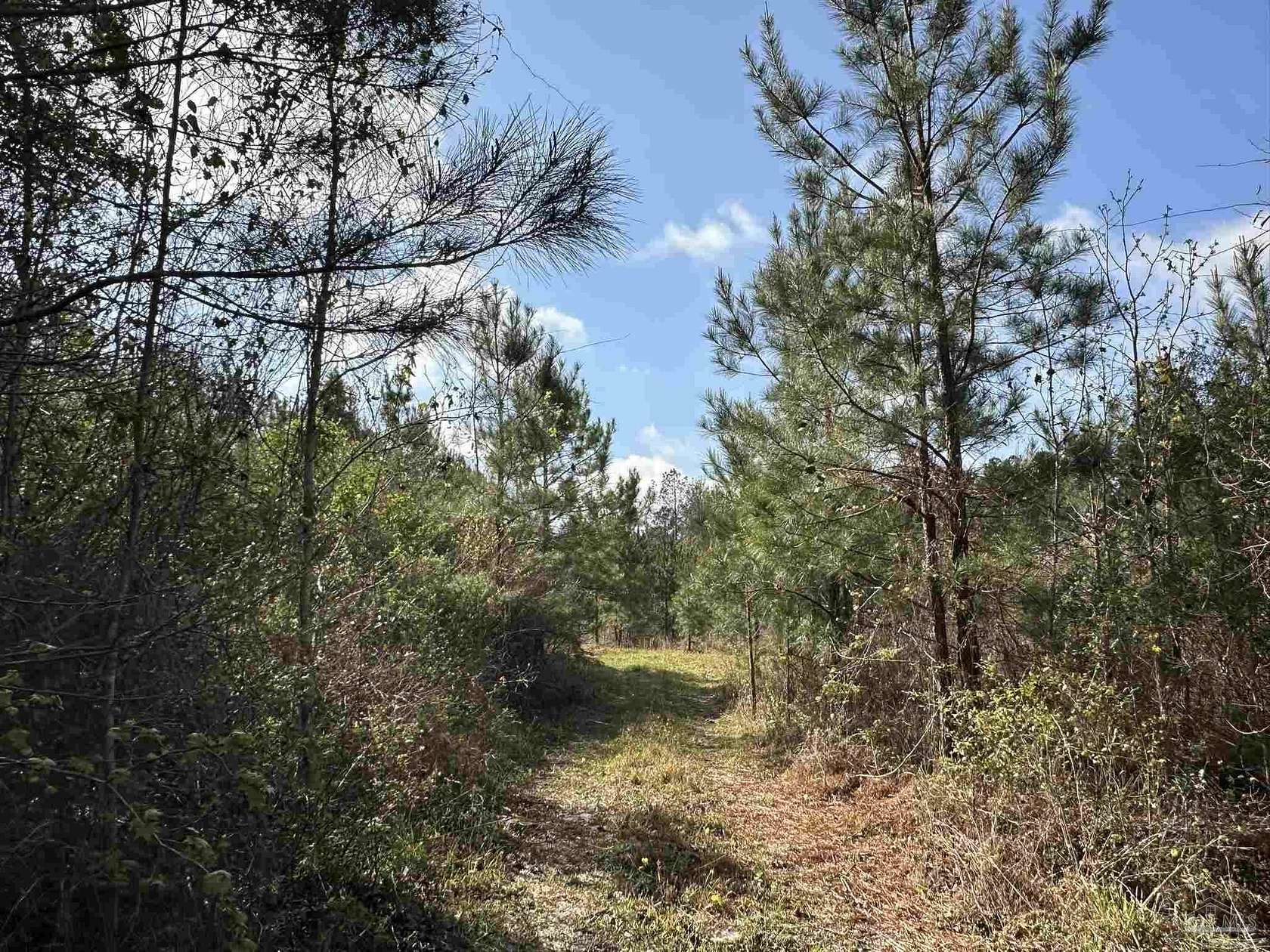 15.5 Acres of Recreational & Residential Land for Sale in Frisco City, Alabama