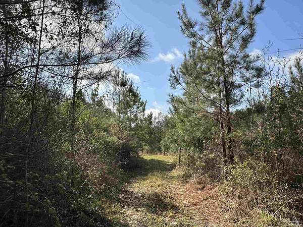 15.5 Acres of Recreational & Residential Land for Sale in Frisco City, Alabama