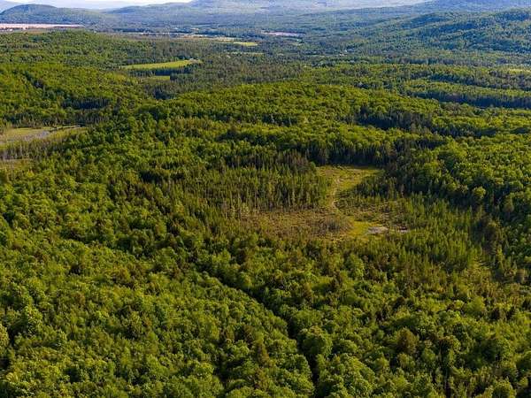 232 Acres of Land for Sale in Maidstone, Vermont