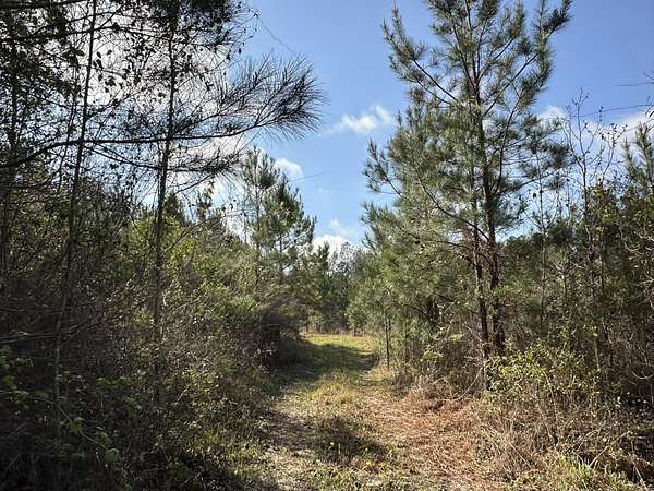 15 Acres of Recreational & Residential Land for Sale in Frisco City, Alabama