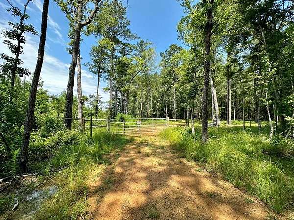 51 Acres of Recreational & Residential Land for Sale in Pinola, Mississippi