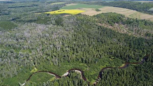 80 Acres of Recreational Land for Sale in Van Buren, Maine