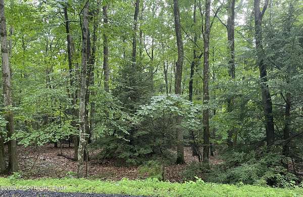 0.46 Acres of Residential Land for Sale in Albrightsville, Pennsylvania