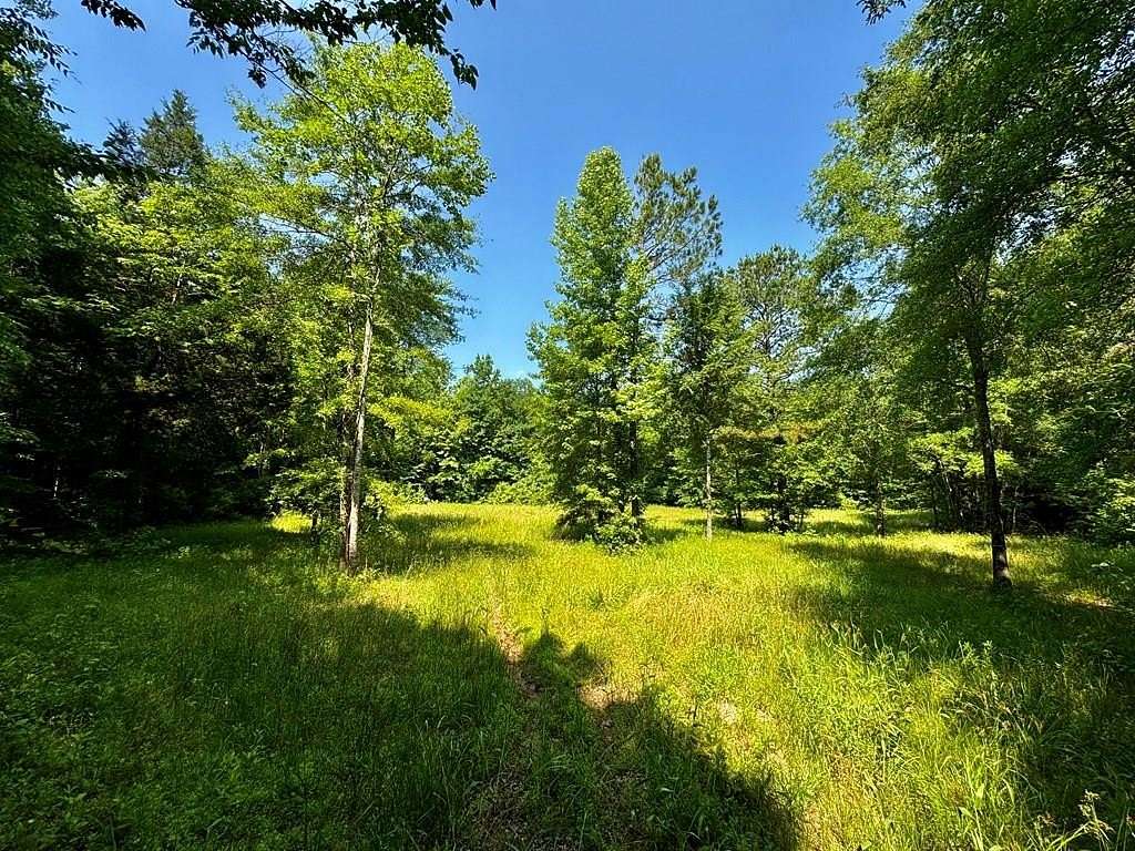 34 Acres of Recreational & Residential Land for Sale in Water Valley, Mississippi