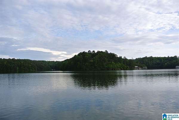 1 Acre of Residential Land for Sale in Wedowee, Alabama