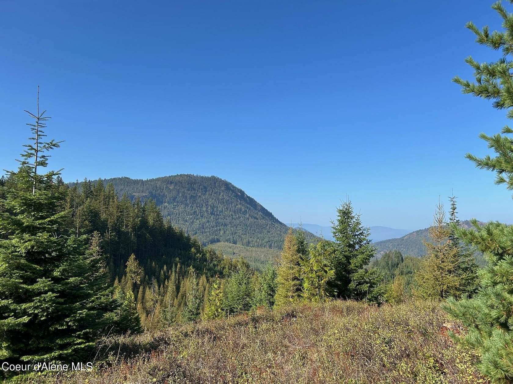 20 Acres of Recreational Land for Sale in Clark Fork, Idaho