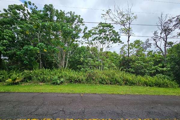 0.17 Acres of Residential Land for Sale in Pahoa, Hawaii