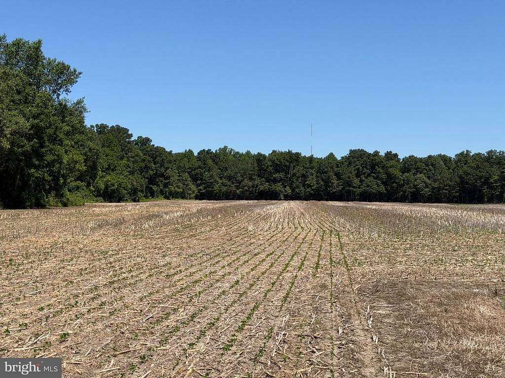 16.8 Acres of Recreational & Residential Land for Sale in Millsboro, Delaware
