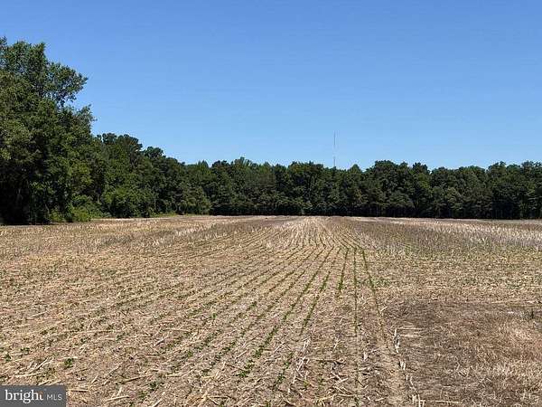 16.8 Acres of Recreational & Residential Land for Sale in Millsboro, Delaware