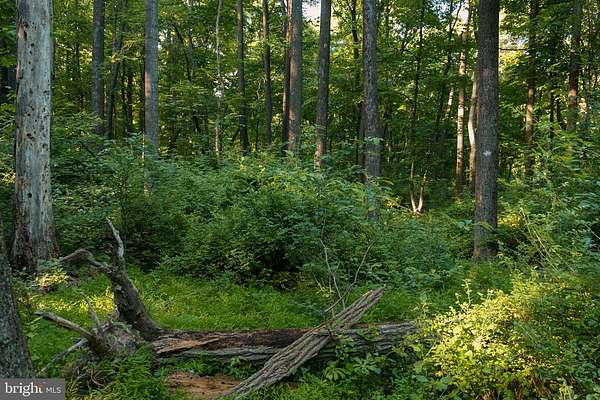 52.8 Acres of Recreational & Residential Land for Sale in Saint Thomas, Pennsylvania