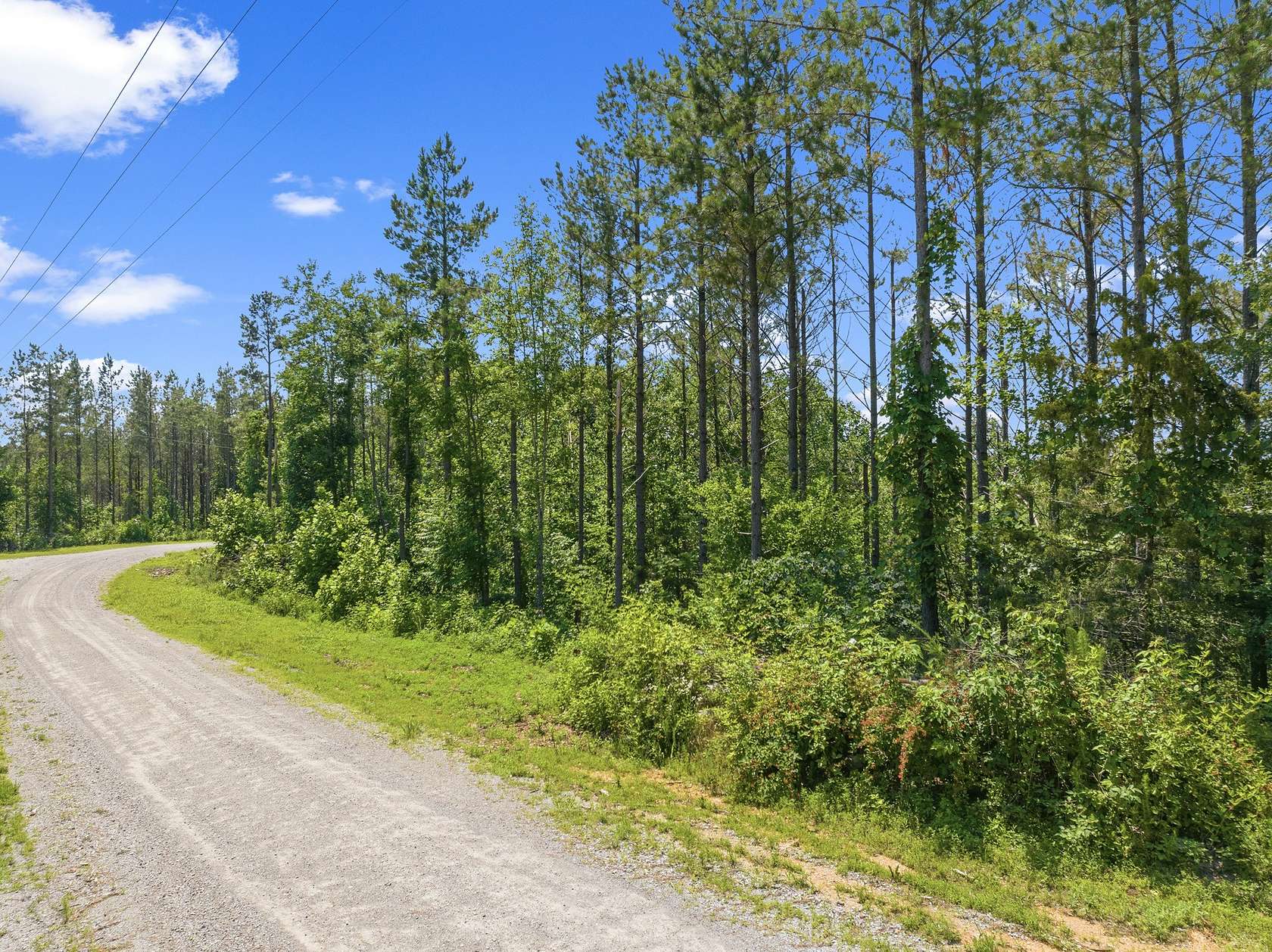 5.9 Acres of Residential Land for Sale in Linden, Tennessee