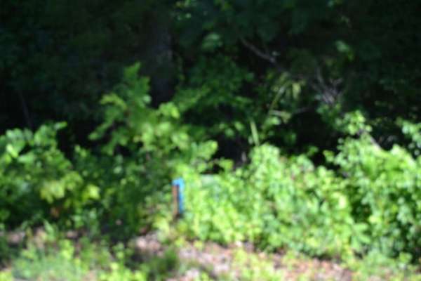 2.75 Acres of Residential Land for Sale in Burkesville, Kentucky