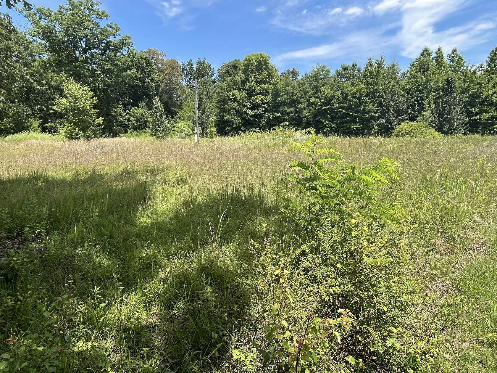 0.59 Acres of Commercial Land for Sale in Beechgrove, Tennessee