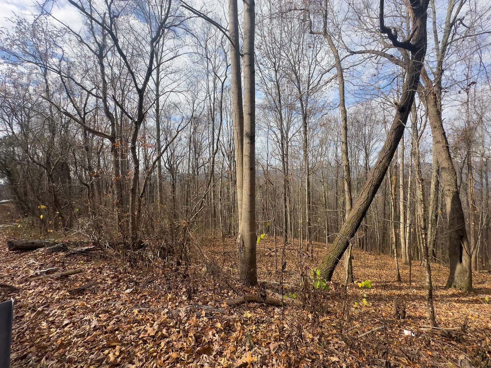 20 Acres of Agricultural & Residential Land for Sale in Whitwell, Tennessee