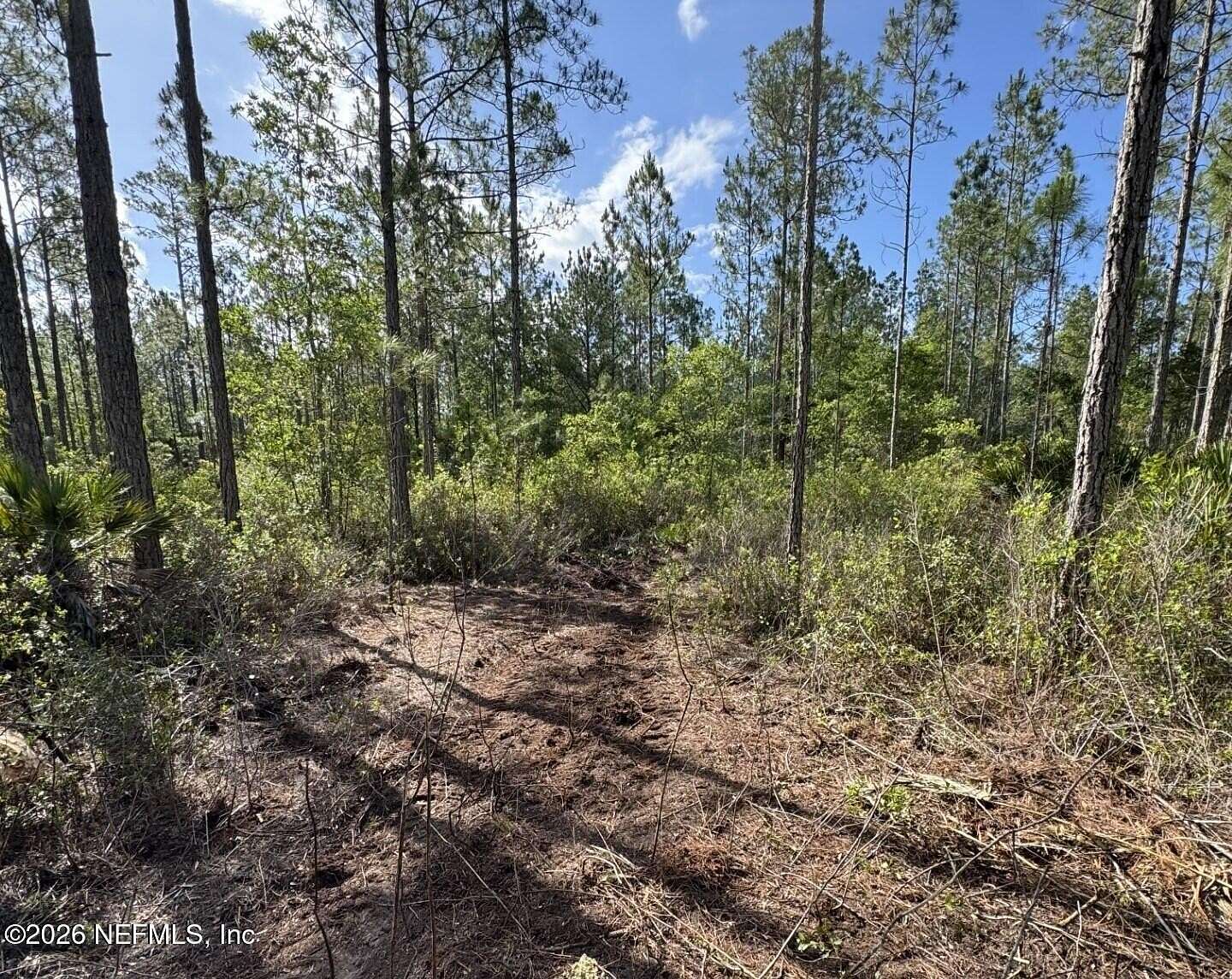 0.59 Acres of Land for Sale in Palatka, Florida