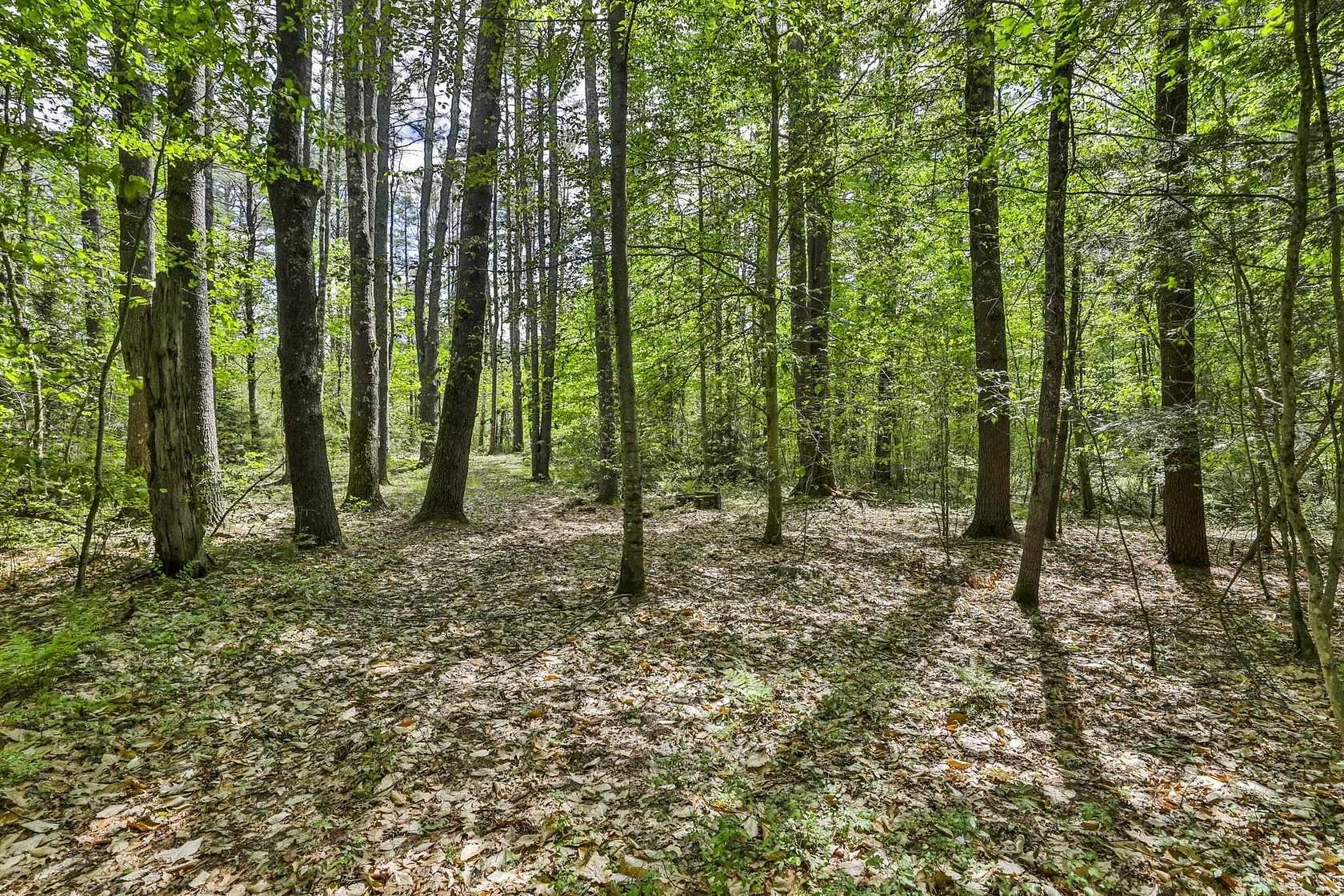 9.49 Acres of Land for Sale in Amherst, New Hampshire