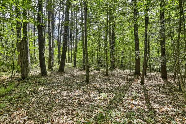 9.49 Acres of Land for Sale in Amherst, New Hampshire