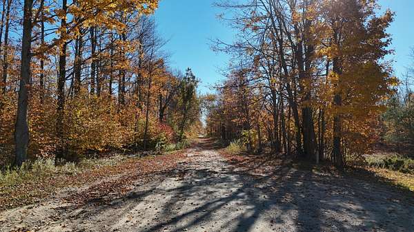 120 Acres of Recreational & Residential Land for Sale in Harbor Springs, Michigan