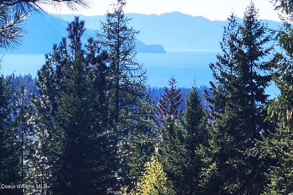 10 Acres of Residential Land for Sale in Hope, Idaho