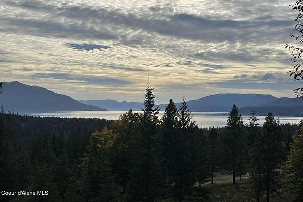 10 Acres of Residential Land for Sale in Hope, Idaho