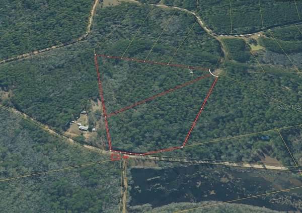 20.9 Acres of Recreational & Residential Land for Sale in Westville, Florida