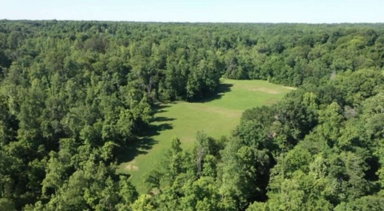 65 Acres of Land for Sale in Drummonds, Tennessee