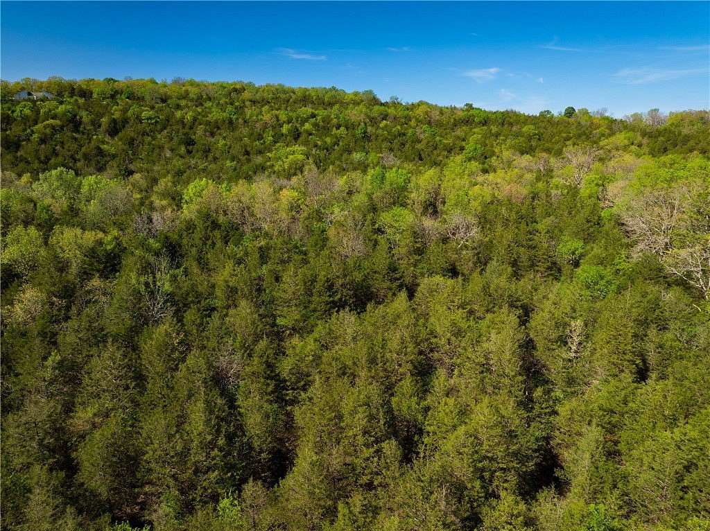 15.6 Acres of Recreational & Residential Land for Sale in Berryville, Arkansas
