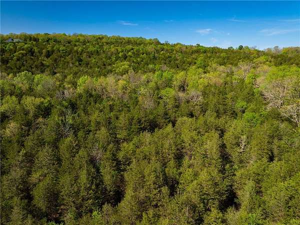 15.6 Acres of Recreational & Residential Land for Sale in Berryville, Arkansas