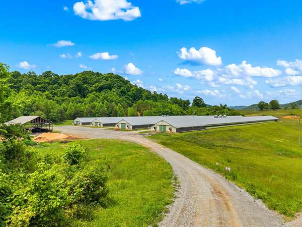 16.9 Acres of Land for Sale in Rogersville, Tennessee