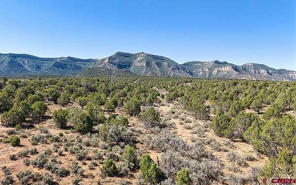 80 Acres of Land for Sale in Cortez, Colorado