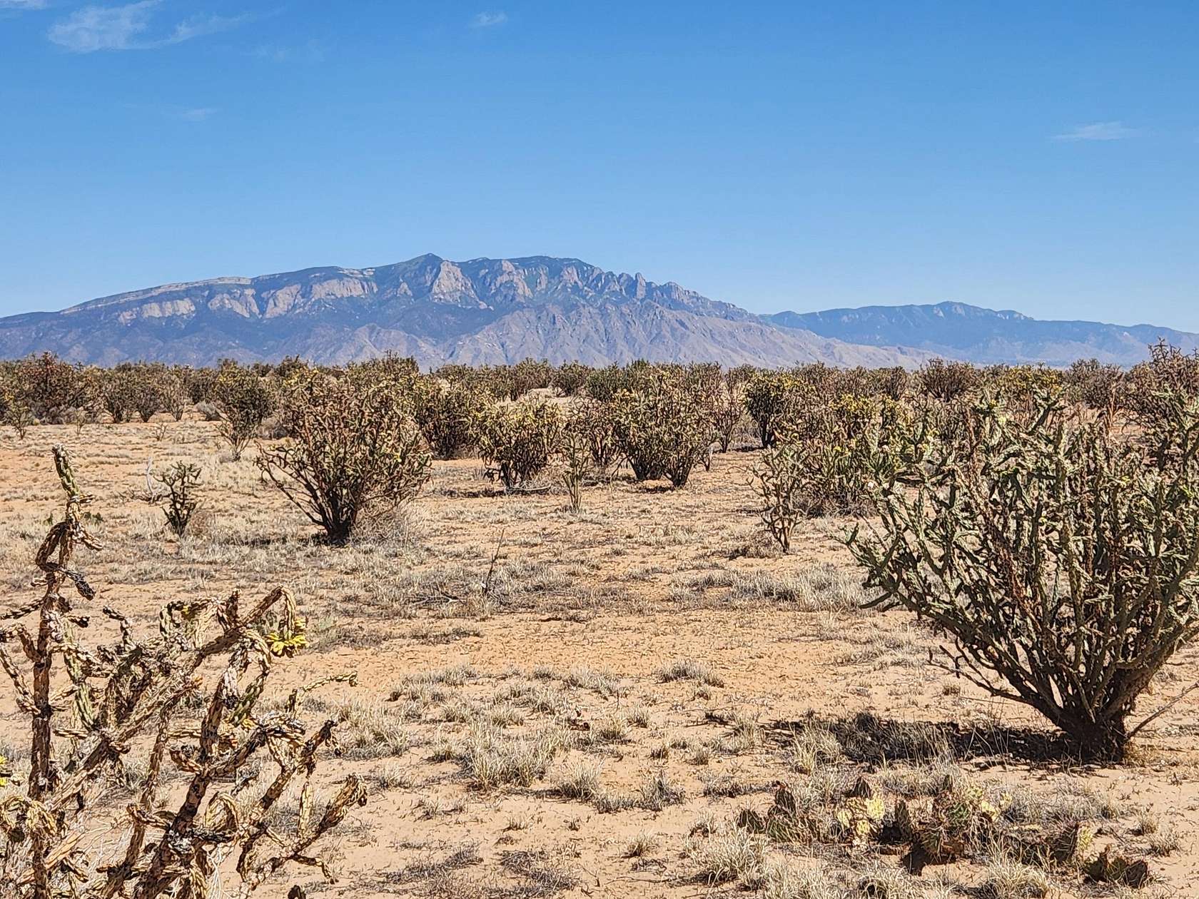0.5 Acres of Land for Sale in Rio Rancho, New Mexico