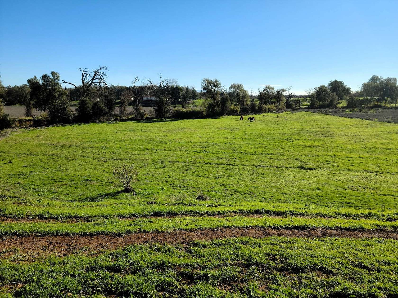 11.8 Acres of Recreational Land with Home for Sale in Gerber, California