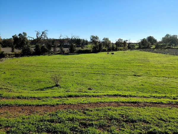 11.8 Acres of Recreational Land with Home for Sale in Gerber, California