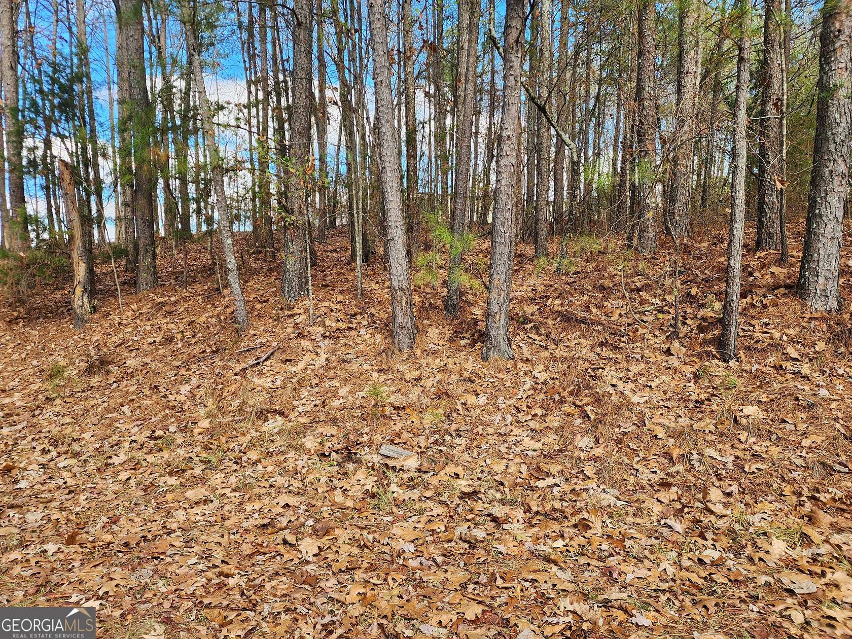 1.26 Acres of Residential Land for Sale in Dallas, Georgia